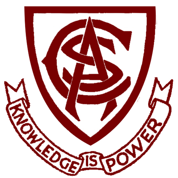 Cummins Area School